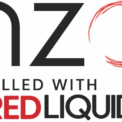 Buy NZO Starter Vape Kit and Pods nzo - Free UK Next Day Delivery (no minimum spend)