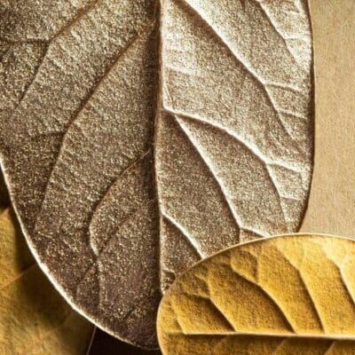 Buy Relx Tobacco Flavour Cotton Pods Cotton - Free UK Next Day Delivery (no minimum spend)