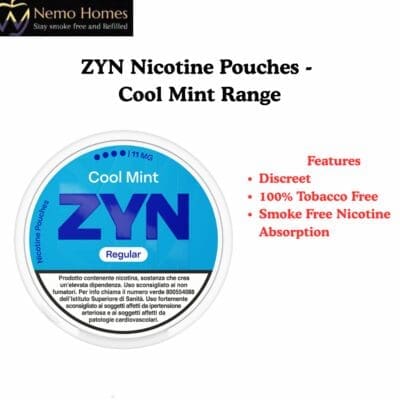 Buy ZYN Nicotine Pouches - Cool Mint Flavour  - Free UK Next Day Delivery (no minimum spend)