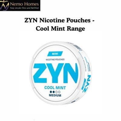 Buy ZYN Nicotine Pouches - Cool Mint Flavour  - Free UK Next Day Delivery (no minimum spend)
